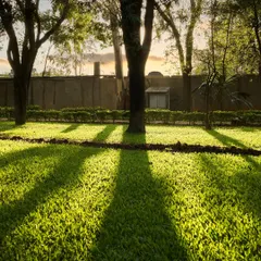 The golden hour at our Ayurveda sanctuary. Long shadows stretch across the vibrant green lawn as the sun sets, creating a moment of perfect harmony and tranquility.
