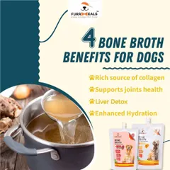 Here are four key benefits of adding bone broth to your dog's diet. It's a rich source of collagen, supports joint health, helps with liver detox, and enhances hydration, making it a true superfood.