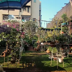 Our plant babies soaking up the morning sun. The nursery is our happy place, filled with plants of all shapes and sizes.