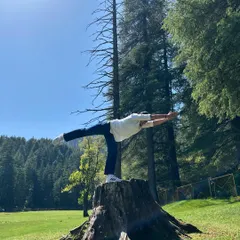 Finding balance on a tree stump in Khajjiar. This is Virabhadrasana III (Warrior III), a pose that challenges stability and focus, made even more special by the surrounding nature.