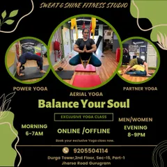 We offer a variety of yoga styles to help you balance your soul. This flyer shows our morning and evening batches for Power, Aerial, and Partner Yoga, with both online and offline options available.