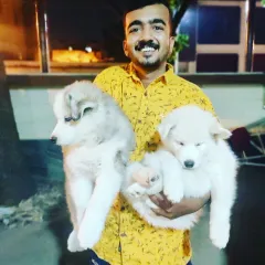 My passion is working with dogs of all ages, including these adorable puppies. Early, positive interactions are the foundation for a well-behaved and happy adult dog.