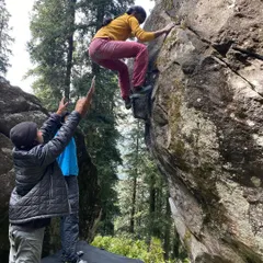 A climber navigates the top section of 'Walk in the Park'. The supportive hands of our spotters are always ready, ensuring a safe environment to push your limits.