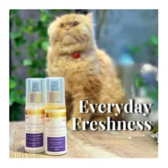 Everyday freshness for your pet. Our Ava Naturals Luxury Cologne, featuring a regal Persian cat, is formulated with calming essential oils and soothing aloe vera to gently refresh their coat between grooms.