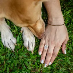 A paw on a hand, a gentle sniff. This close-up from Noor's Gotcha Day shoot is a beautiful symbol of the trust and connection between a rescue dog and her new family. It's the little details that tell the biggest stories.