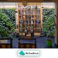 I believe nature is the ultimate luxury. Here, two floor-to-ceiling living walls flank a beautiful display cabinet, transforming this indoor space into a breathable, living masterpiece. These natural walls actively purify the air, creating a healthier and more serene environment.