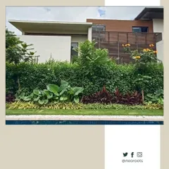 A duplicate of image 12, showing the poolside garden bed.