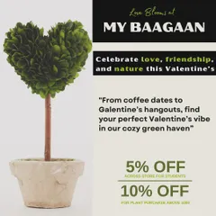 Love blooms at My Baagaan. This Valentine's, we had special offers for students and on large plant purchases. It's the perfect vibe for Valentine's, Galentine's, or just a self-love day.