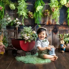 The biggest, happiest laugh from a little boy during his sitter session. The rustic green theme and props add a touch of vintage charm.