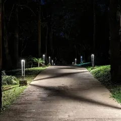 Strategic garden lighting transforms this pathway into a magical nightscape. I use lighting to not only ensure safety but also to highlight the textures and shapes of the landscape after dark, extending its beauty around the clock.