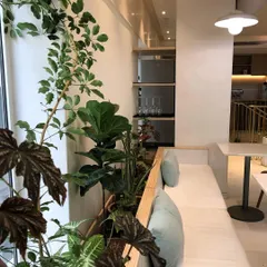 Designing for an air conditioned cafe presents unique challenges. For Araku Coffee in Bangalore, we integrated a lush planter alongside the seating, using plants like Ficus Lyrata and Begonia to soften the modern interior and create a welcoming, natural atmosphere for guests.