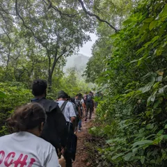 A glimpse of the trail on our Netravathi trek. Our group walks through a lush forest path in the beautiful Chikmagalur region.