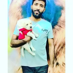 A member of our team holding a small puppy wearing a comfortable red hoodie. This shows our gentle approach and the cute, practical pet apparel we have available for even the smallest furry friends.