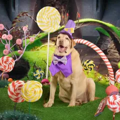 Welcome to the chocolate factory! This Willy Wonka inspired set was a dream to build, with foam candies and giant lollipops. Buddy the Labrador looks like he's found the golden ticket in this magical, candy-filled world.