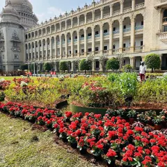 Rows of vibrant red Begonias being planted at the Vidhana Soudha. These seasonal flower beds are meticulously planned to create a stunning visual impact against the building's grand architecture.