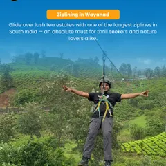 Glide over lush tea estates in Wayanad on one of the longest ziplines in South India. It's a must for thrill-seekers and nature lovers alike.