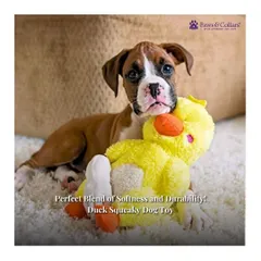 A cute Boxer puppy snuggles with a ZippyPaws Duck Squeaky Toy. This toy offers the perfect blend of softness for cuddling and a fun squeaker for engaging playtime.