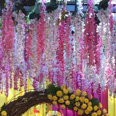 A beautiful entrance arch made of woven branches and bright yellow marigolds. This was part of a vibrant Haldi or Mehendi ceremony decor, set against a ceiling of hanging pink and white wisteria flowers.