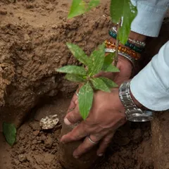 This is where it all begins. We believe in habitat creation, not just counting saplings. Every native plant we place in the soil is a promise to restore the Aravalis, bringing back an ecosystem that supports our city and its wildlife.