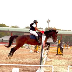 A young rider from our team clears a jump during a national qualifier event. We are incredibly proud of her outstanding performance.