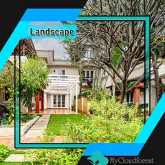 A mature tree serves as a natural anchor in this landscape design. I built the garden around it, with a healthy lawn, stone pathways, and flowering bushes that add color and life to the space.