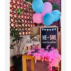 A charming welcome corner for a gender reveal party. The setup uses a chalkboard sign, classic pink and blue balloons, and decorative birdcages to invite guests in.