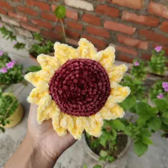 Holding the sunflower plushie in my garden.