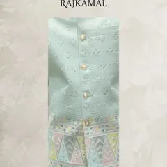 A close-up of the pastel green kurta jacket, showing the multi-colored geometric embroidery along the hem and the delicate buttons.