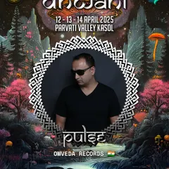 The official artist poster for my performance as Pulse at the Dhwani Festival in Parvati Valley. I played a soul-stirring morning set surrounded by the magic of the mountains.