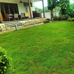 This is the end result we aim for: a perfectly green, healthy lawn that makes the whole house look better. We can create this beautiful, lush space for you to enjoy with your family.