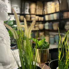 Find your zen at our Kadri store. We have a range of decor items, like this Buddha statue, that pair beautifully with our plants and planters.