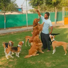 A team member surrounded by an attentive audience. This is a common sight here, as our dogs know who to go to for treats and affection.