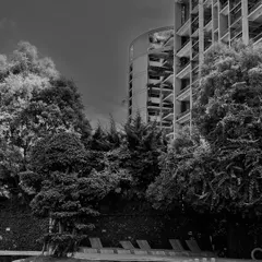 This artistic shot captures the harmony between a building's strong architectural form and the surrounding natural elements. It’s about finding a space that is both impressive and serene.