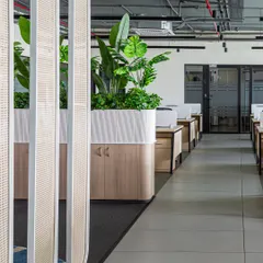A view of the Thalia Technologies office, where I kept the central area open and filled with natural light. By integrating lush greenery into the storage units and using semi-transparent partitions, the workspace feels both connected and serene.