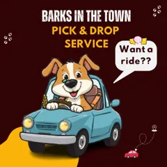 My pick-up and drop-off service is designed to make your life easier. I handle the driving so you can manage your busy schedule, and your pet gets the care they need without any travel stress for you.