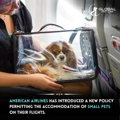 We stay updated on airline policy changes. This graphic explains a new American Airlines policy that makes it easier for travelers to bring small pets on their flights as a carry-on item.