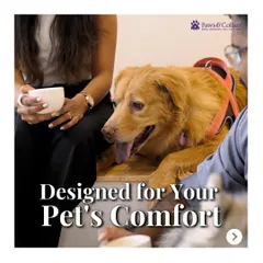 Every detail in our facility is designed for your pet's comfort. We provide a premium, safe, and clean environment where your pet can feel relaxed and cared for, whether they're here for an hour or a week.