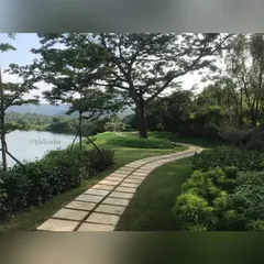 The stone pathway continues its gentle curve under the shade of a magnificent, mature tree. This design highlights my philosophy of working with existing natural features to create timeless and harmonious landscapes.