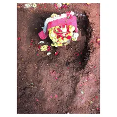 A Bhoomi Pooja ceremony for a new project, a ritual to honor Mother Earth before construction begins. I believe in respecting the land and traditions associated with building a new home, marking a grounded and thoughtful start.