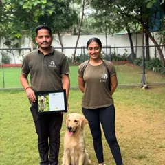 This is Simba, a wonderful Golden Retriever who came to us with a bite history. After completing his Behavior Modification Program, he graduated as a calmer, more predictable, and happier dog. We specialize in rehabilitating complex cases by understanding the root cause of the behavior.
