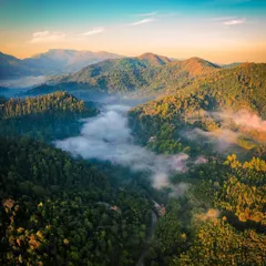 Chasing the morning light in the Western Ghats. This aerial photograph from Kalasa shows the valley filled with a blanket of mist as the first rays of sun touch the surrounding peaks. It’s moments like these, where nature puts on a show, that I live for.