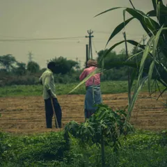 When you visit, you will meet the local farmers who are the backbone of our operations. They are always happy to share their knowledge about sustainable agriculture and the traditional farming methods we use.