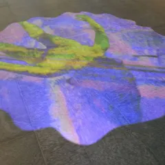 For the Novartis Campus in Basel, I collaborated with artist Pipilotti Rist on 'Amorphous Color Rain'. This video art is projected onto the floor, transforming the granite surface into a dynamic, kaleidoscopic canvas that references microscopic imagery.