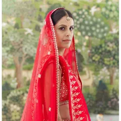 A stunning bridal portrait. The bride's direct gaze is powerful, and the vibrant red of her veil contrasts beautifully with the soft, artistic background. I aim to capture the strength and beauty of every bride on her special day.