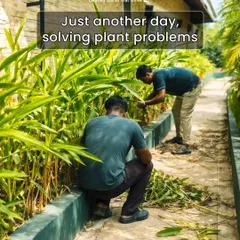 Our trained malis are problem solvers. We do more than just water; we diagnose, prune, and provide the specific care each plant needs to flourish.