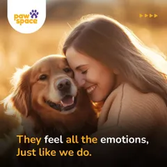 Our dogs are our family, and they experience a full range of emotions, just like we do. Understanding their feelings helps us build a stronger, more compassionate bond with them every day.