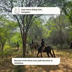 With a horse as your partner, every path truly becomes an adventure. Here, a group follows a winding dirt trail under a canopy of trees, with our dogs leading the charge.