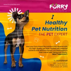 As pet nutrition experts, we provide high-quality food packed with the nutrients your companion needs to thrive. We can help you choose the perfect diet for your dog's specific age, breed, and health requirements.