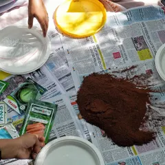 The raw materials for our seed ball making workshop. We provide everything needed, including soil, seeds, and guidance, for a fun and educational session on sustainable gardening practices.