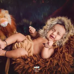 Hear me roar. This little lion cub is one of our favorite themes for baby boys, complete with a fuzzy lion bonnet and a cozy, wild setting.